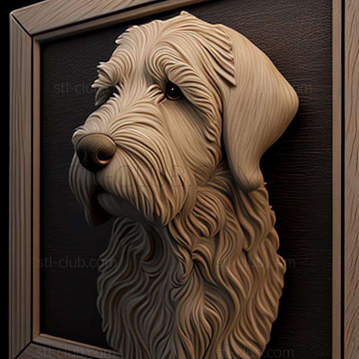 st Labradoodle dog